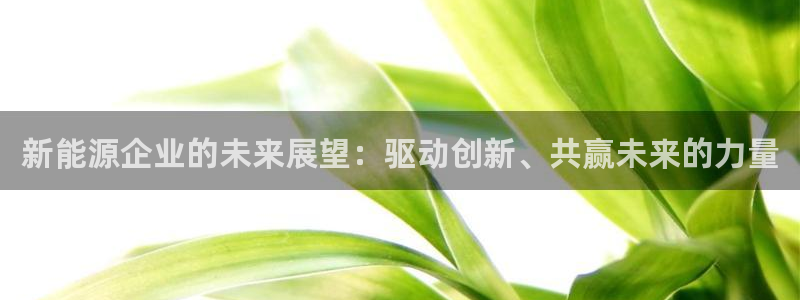 新宝gg登录页面