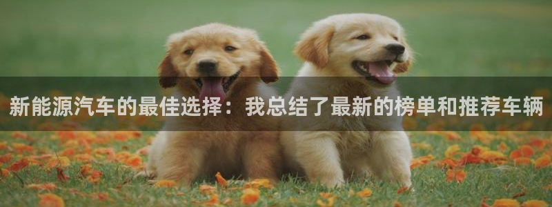 新宝gg--创