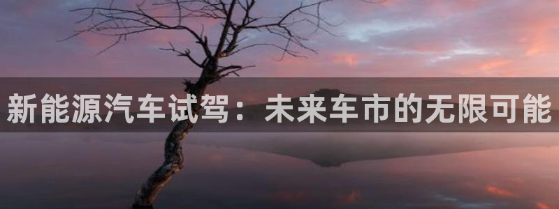 新宝gg创造