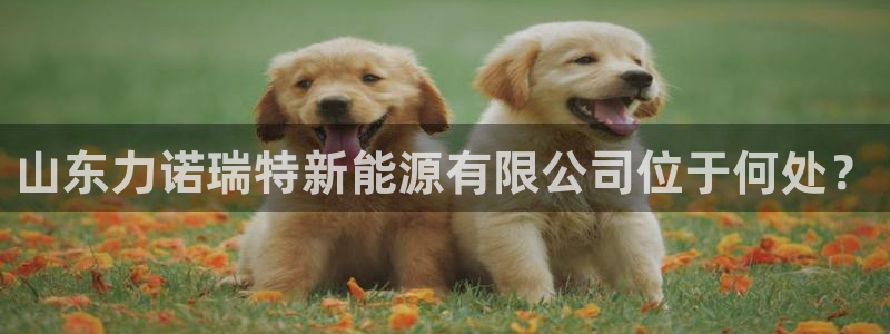 新宝GG亚洲