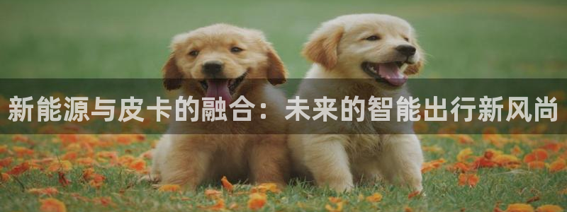新宝GG—创造奇迹
