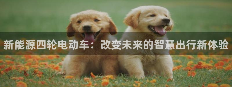 新宝gg直属上级