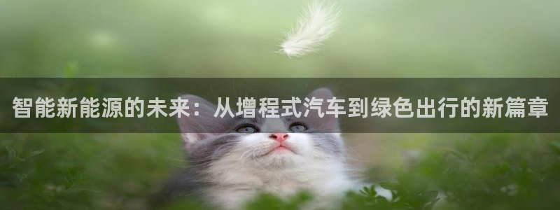 新宝GG创造奇