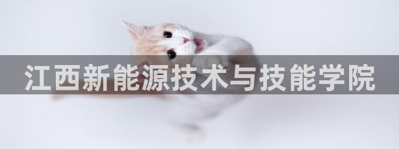 新宝gg总部