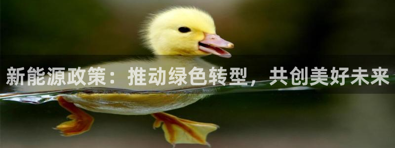 新宝GG—创造奇迹
