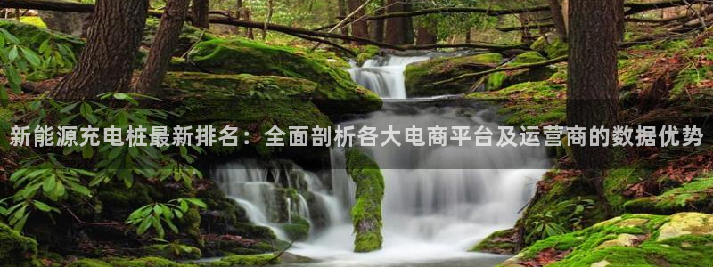 新宝gg奖金