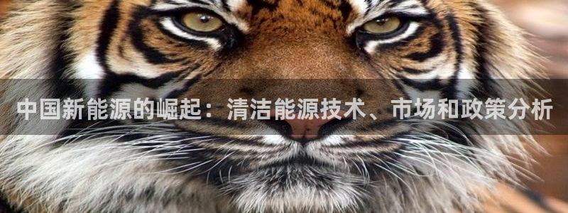 新宝gg开好