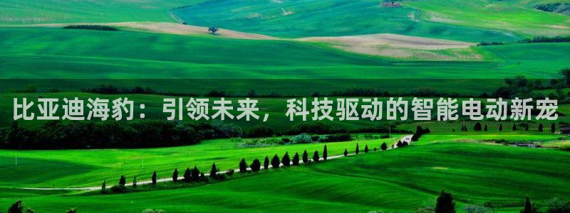 新宝gg用哪个浏览器