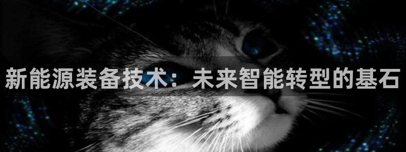 新宝gg平台