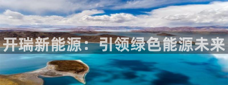 广东新宝电器gg：开瑞新能源：引领绿色能