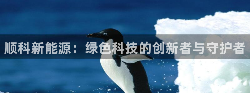 新宝gg如何注册登录：顺科新能源：绿色科