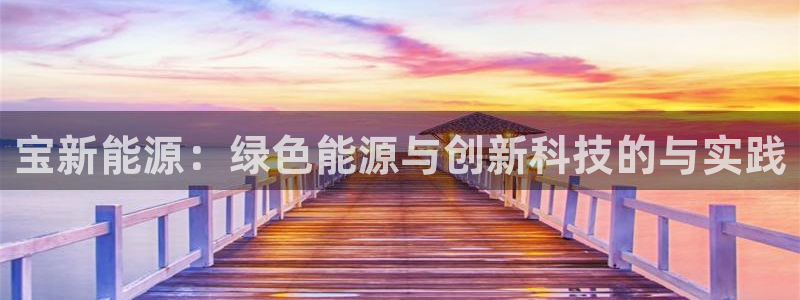 11新宝gg：宝新能源：绿色能源与创新科