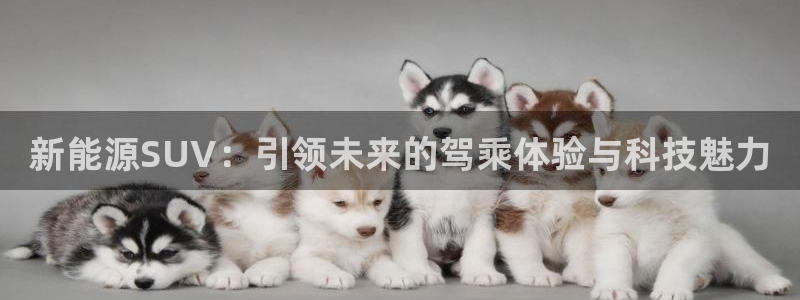 新宝gg 彩票