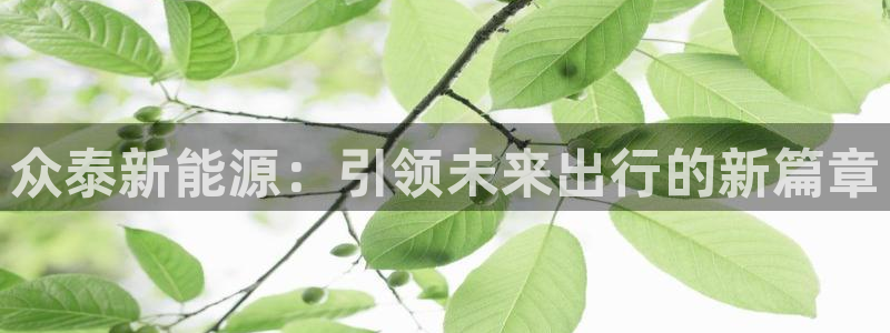 新宝gg主管 9