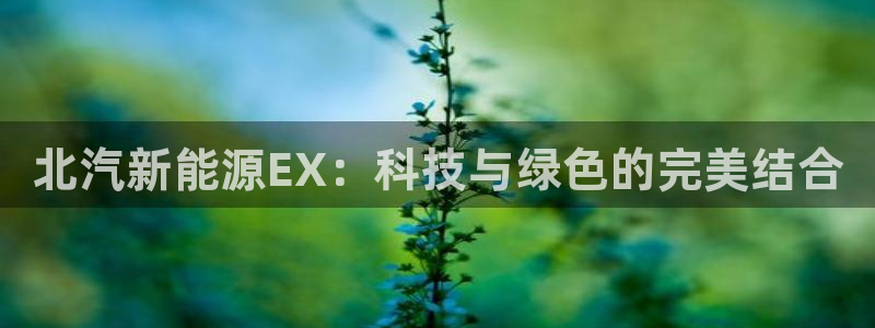 新宝gg登录链接：北汽新能源EX：科技与