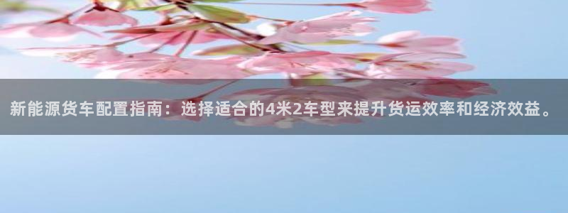 新宝gg登陆平台：新能源货车配置指南：选