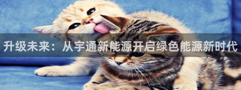娱乐世界新宝gg：升级未来：从宇通新能源