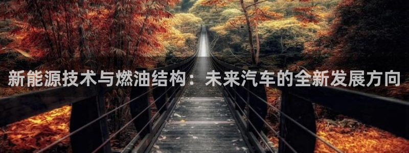 新宝GG无法充值：新能源技术与燃油结构：