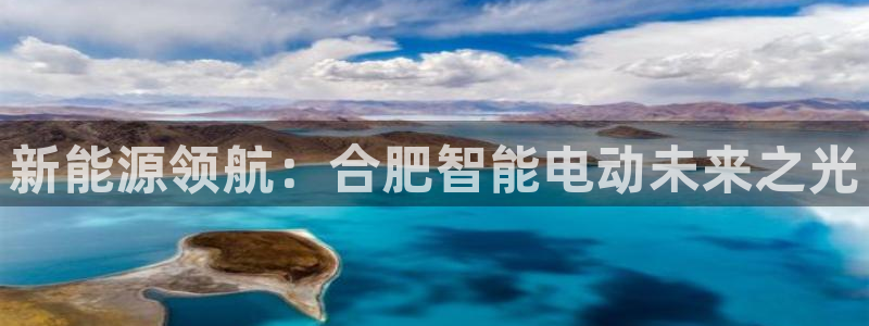 新宝gg 登录页面：新能源领航：合肥智能