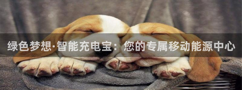 新宝GG桌面