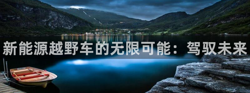 新宝GG创业奇迹