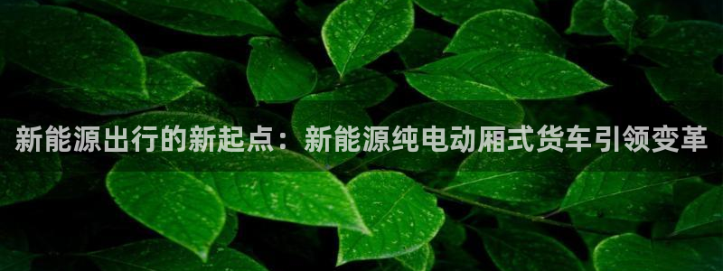 新宝gg赚钱