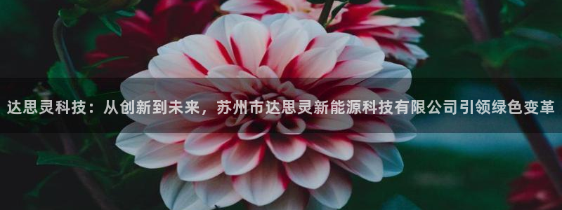 新宝新宝gg开户流程