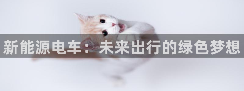 新宝gg 首页