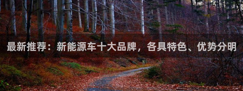 新宝彩票gg