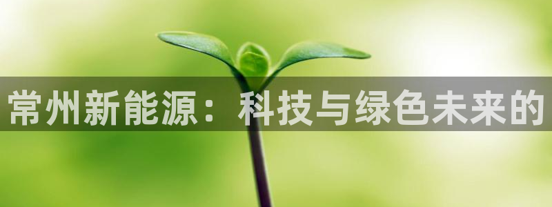 新宝GG创业奇迹