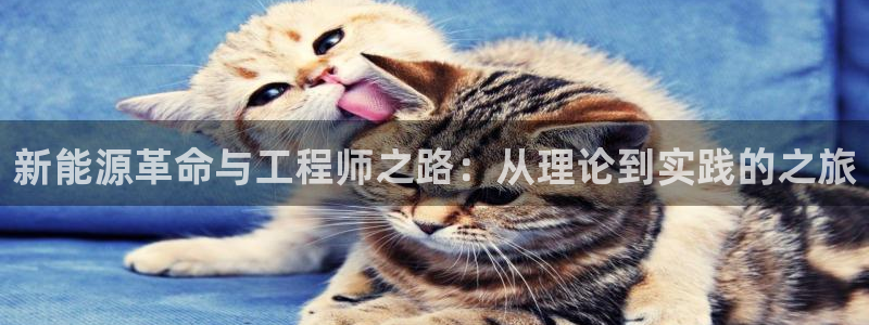 新宝gg账户注册：新能源革命与工程师之路