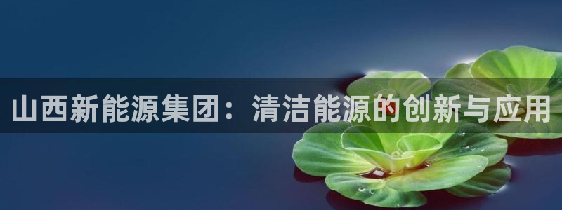 下载新宝gg：山西新能源集团：清洁能源的