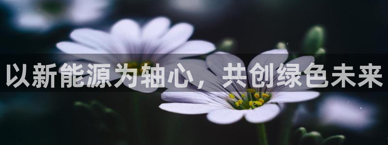 新宝gg手机登录：以新能源为轴心，共创绿