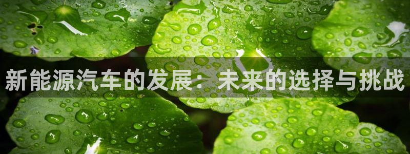新宝gg计划
