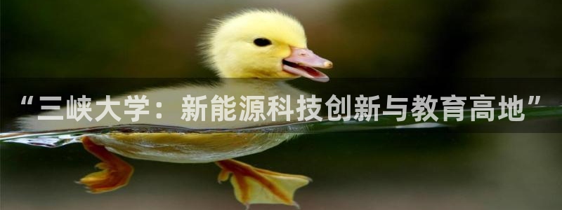 新宝GG娱乐-上皇巢网