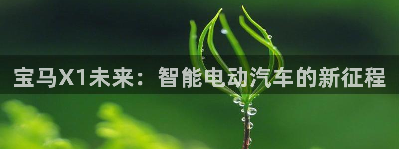 新宝GG上级:宝马X1未来:智能电动汽车的新征程