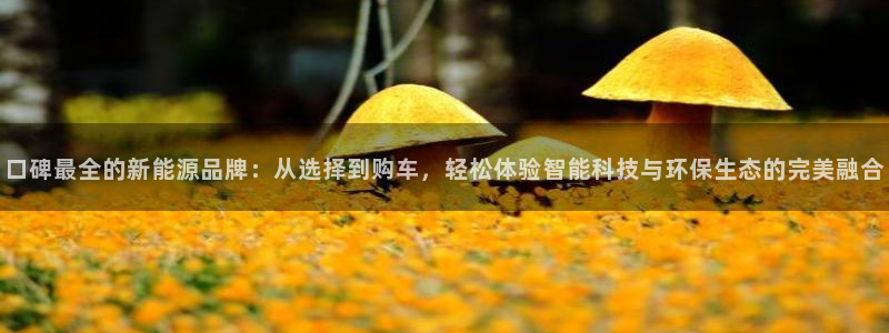 新宝GG玩家:口碑最全的新能源品牌:从选择到购车,轻松体验智