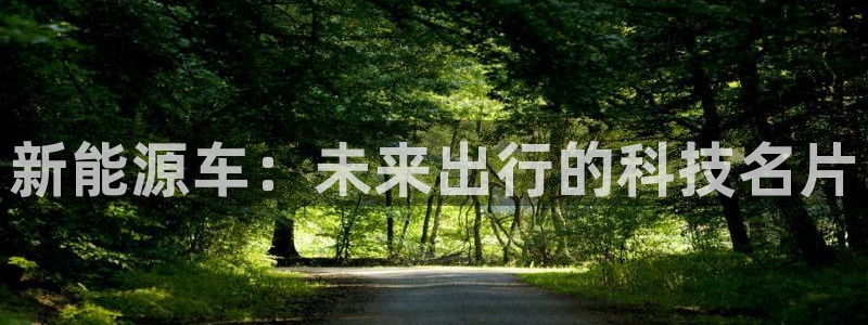 新宝gg手机登录:新能源车:未来出行的科技名片