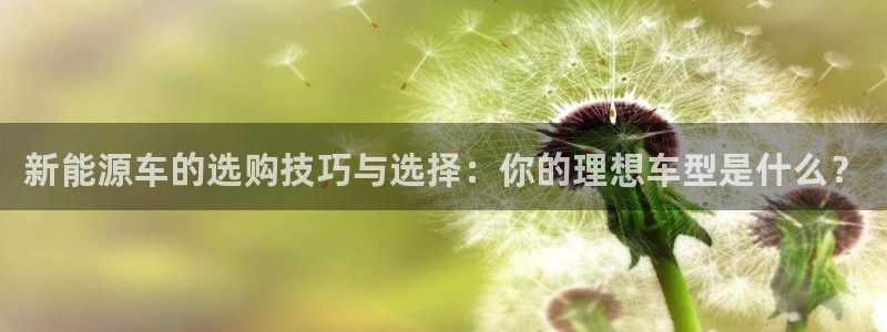 新宝gg公司