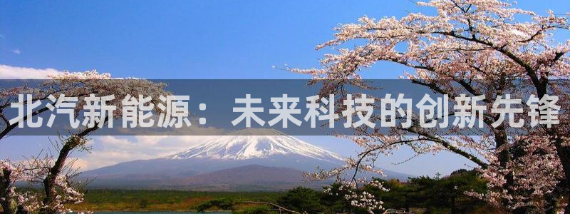 新宝gg平台注册