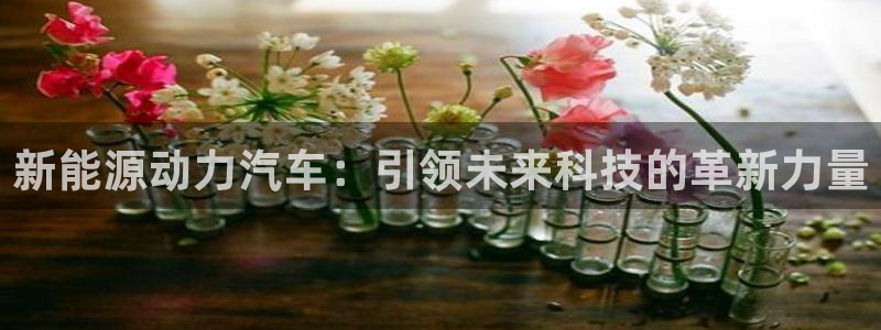 新宝g新宝gg
