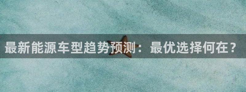 新宝gg计划：最新能源车型趋势预测：最优