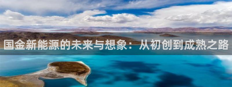 新宝哥gg：国金新能源的未来与想象：从初