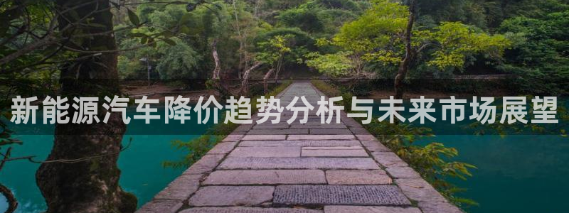 新宝gg靠谱吗:新能源汽车降价趋势分析与未来市场展望