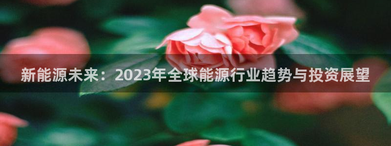 新宝注册gg平台:新能源未来:2023年全球能源行业趋势与投