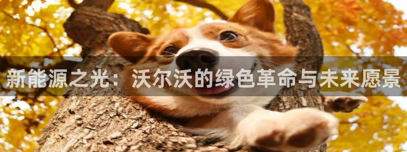 新宝gg注册首页