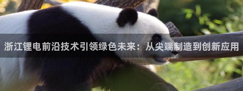 新宝gg官方注册找上级：浙江锂电前沿技术