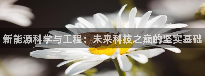 新宝gg娱乐1956：新能源科学与工程：