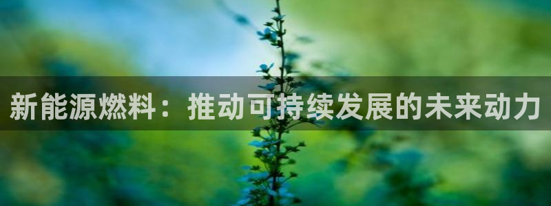 新宝 gg 总代理：新能源燃料：推动可持