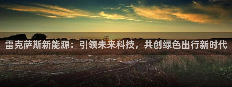 gg新宝创新:雷克萨斯新能源:引领未来科技,共创绿色出行新时